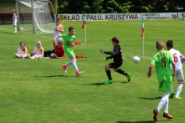 上海海港的 上海海港的