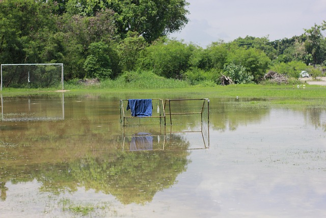 德的精准射 德的精准射