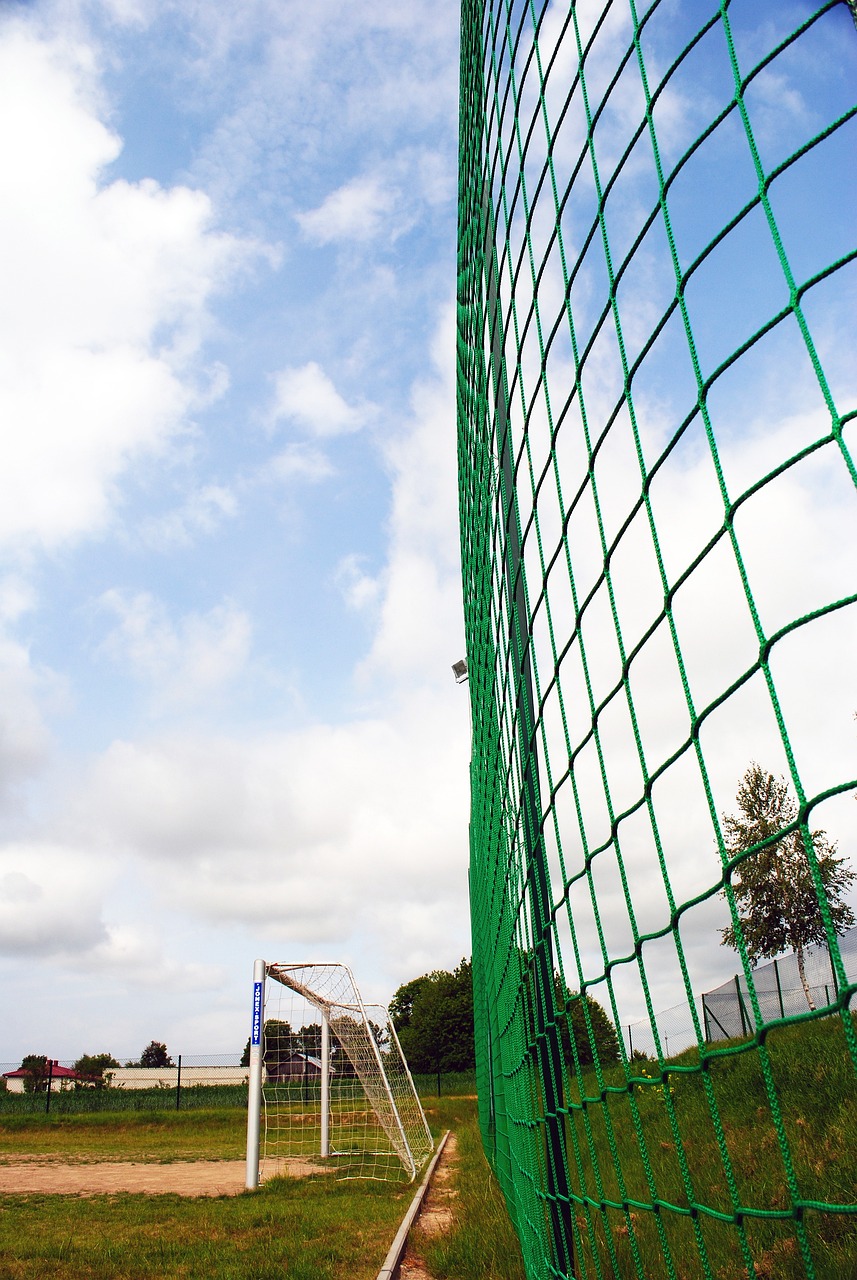 并为年轻球 并为年轻球