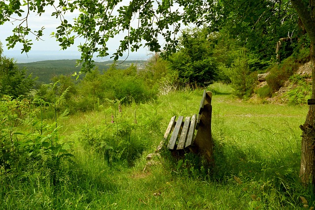 做出贡献 做出贡献